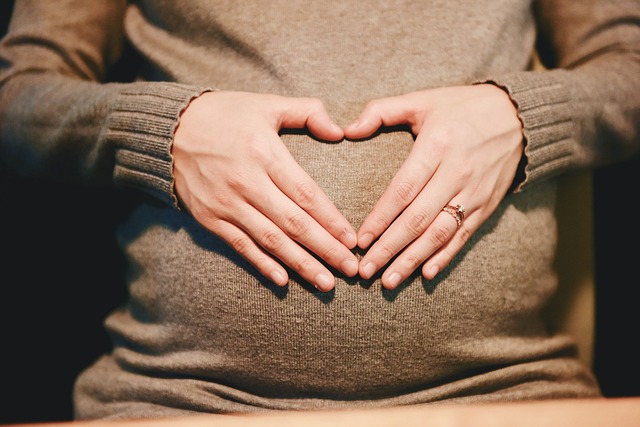 pregnant-2568594_640.jpg
