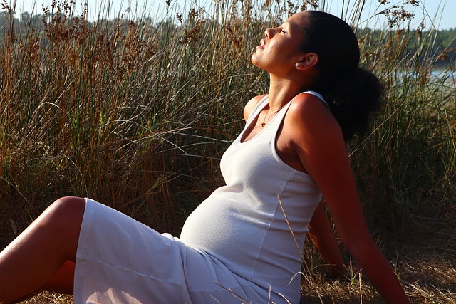 pregnant-6591286_640.jpg