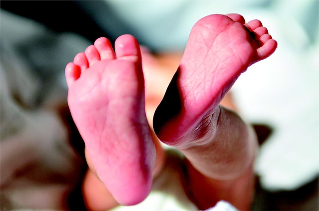 babies-2672866_640.jpg