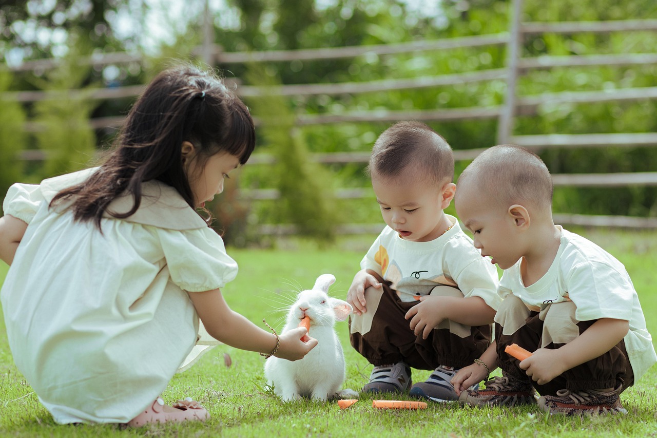 孩子们, 兔子, 自然, 户外, 野餐, 动物