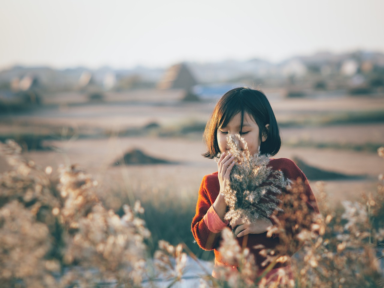女孩, 芦苇, 原野, 日落, 户外